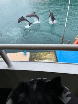 下田海中水族館に投稿された画像（2022/2/23）