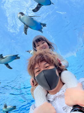 サンシャイン水族館に投稿された画像（2022/2/23）
