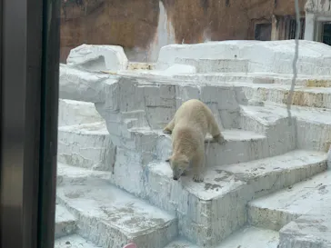 天王寺動物園に投稿された画像（2022/2/23）