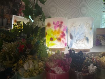 ずこうしつ〜sugamo〜に投稿された画像（2022/2/23）