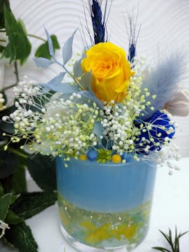 ずこうしつ〜sugamo〜に投稿された画像（2022/2/23）