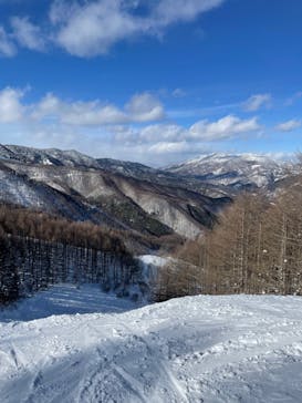 やぶはら高原スキー場に投稿された画像（2022/2/23）