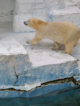 天王寺動物園に投稿された画像（2022/2/23）