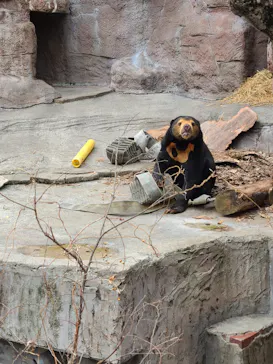 天王寺動物園に投稿された画像（2022/2/23）