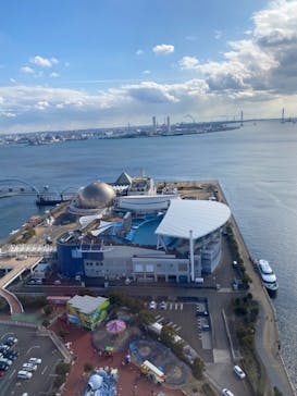 名古屋港水族館に投稿された画像（2022/2/23）