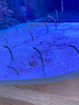 名古屋港水族館に投稿された画像（2022/2/23）