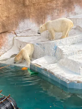 天王寺動物園に投稿された画像（2022/2/23）