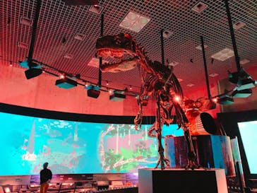 国立科学博物館に投稿された画像（2022/2/23）