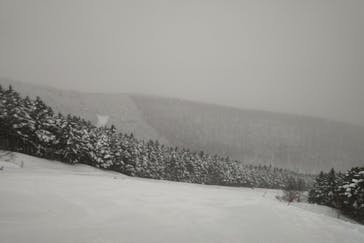 ブランシュたかやまスキーリゾートに投稿された画像（2022/2/23）