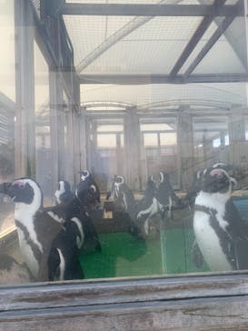 名古屋港水族館に投稿された画像（2022/2/23）