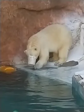 天王寺動物園に投稿された画像（2022/2/23）