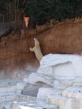 天王寺動物園に投稿された画像（2022/2/23）
