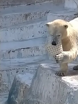 天王寺動物園に投稿された画像（2022/2/23）