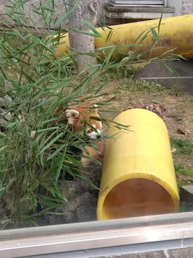 天王寺動物園に投稿された画像（2022/2/23）