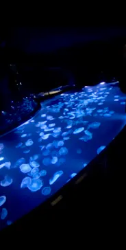 すみだ水族館に投稿された画像（2022/2/23）