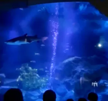 すみだ水族館に投稿された画像（2022/2/23）