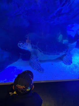 マクセル アクアパーク品川に投稿された画像（2022/2/23）