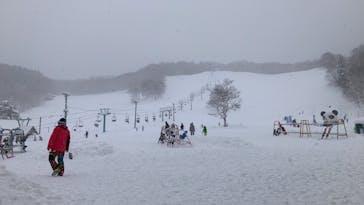 水上高原 藤原スキー場に投稿された画像（2022/2/23）