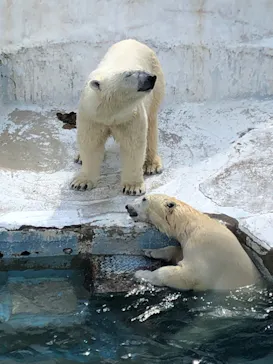 天王寺動物園に投稿された画像（2022/2/23）