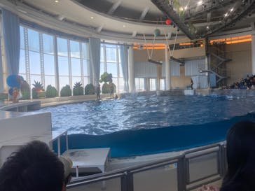 アクアワールド茨城県大洗水族館に投稿された画像（2022/2/23）