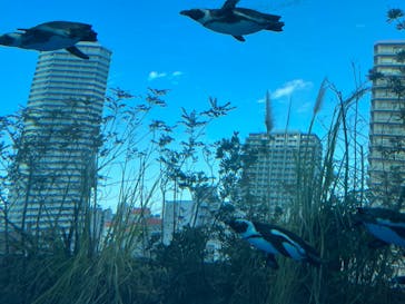 サンシャイン水族館に投稿された画像（2022/2/23）