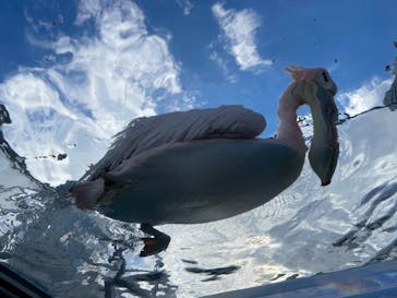 サンシャイン水族館に投稿された画像（2022/2/23）