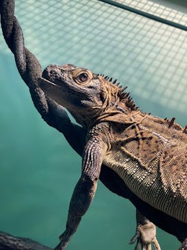 サンシャイン水族館に投稿された画像（2022/2/23）