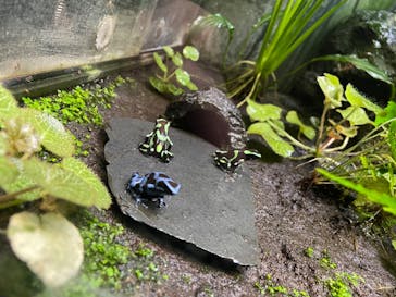 サンシャイン水族館に投稿された画像（2022/2/23）