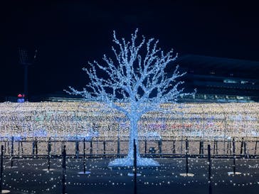 東京メガイルミに投稿された画像（2022/2/23）