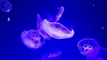 名古屋港水族館に投稿された画像（2022/2/23）