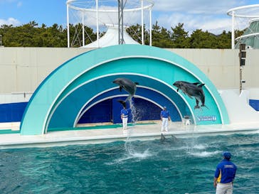 鴨川シーワールドに投稿された画像（2022/2/23）