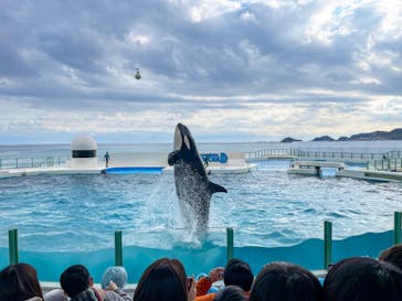 鴨川シーワールドに投稿された画像（2022/2/23）