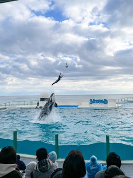 鴨川シーワールドに投稿された画像（2022/2/23）