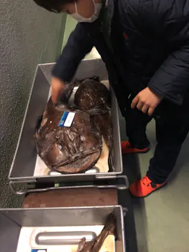 横浜・八景島シーパラダイスに投稿された画像（2022/2/23）