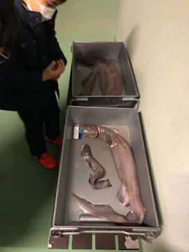 横浜・八景島シーパラダイスに投稿された画像（2022/2/23）