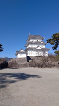 小田原城に投稿された画像（2022/2/23）