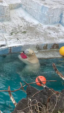 天王寺動物園に投稿された画像（2022/2/23）