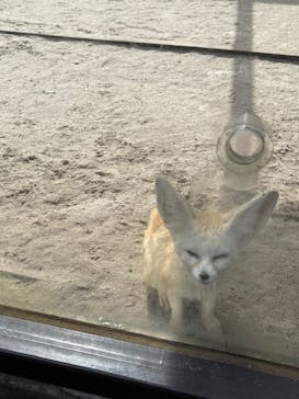 伊豆シャボテン動物公園に投稿された画像（2022/2/23）