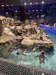 すみだ水族館に投稿された画像（2022/2/23）
