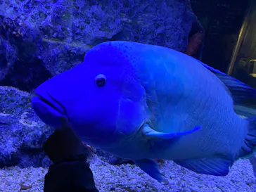 すみだ水族館に投稿された画像（2022/2/23）