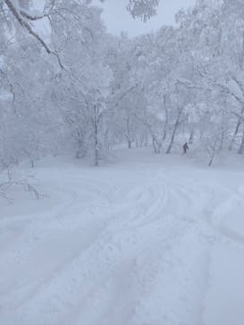 野沢温泉スキー場に投稿された画像（2022/2/23）