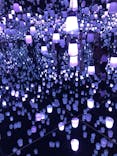 森ビル デジタルアート ミュージアム：エプソン チームラボボーダレスに投稿された画像（2022/2/24）