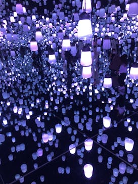 森ビル デジタルアート ミュージアム：エプソン チームラボボーダレスに投稿された画像（2022/2/23）