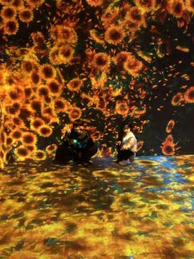 森ビル デジタルアート ミュージアム：エプソン チームラボボーダレスに投稿された画像（2022/2/23）