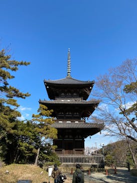 三溪園に投稿された画像（2022/2/23）