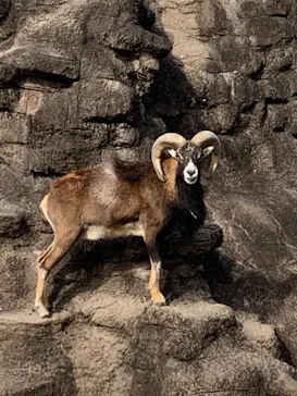 天王寺動物園に投稿された画像（2022/2/23）