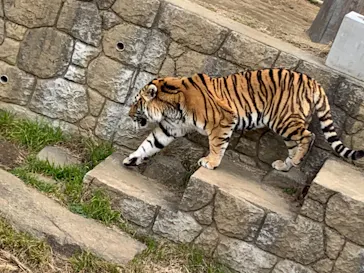 天王寺動物園に投稿された画像（2022/2/23）