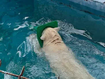 天王寺動物園に投稿された画像（2022/2/23）