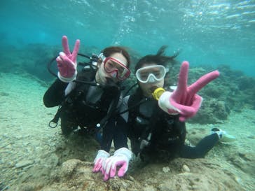 武藤潜水に投稿された画像（2022/2/24）