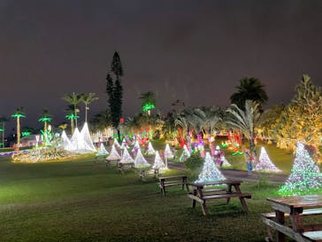 美らヤシパークオキナワ・東南植物楽園に投稿された画像（2022/2/24）